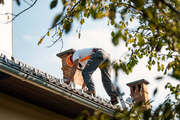 Reliable Springfield, VA Roofing Contractor Solutions