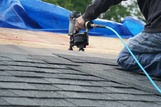 Best Flat Roof Repair Services  in Springfield, VA