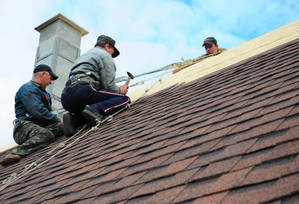 Best Local Roofing Companies  in Springfield, VA